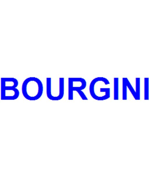 Bourgini